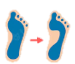 Ortopedia en General